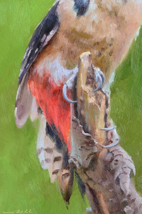 Woodpecker