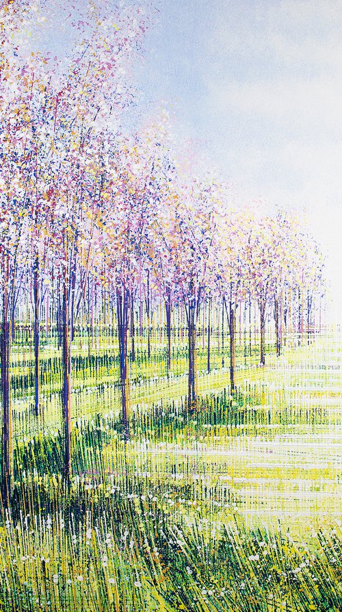 Meadow With Trees In Blossom by Marc Todd