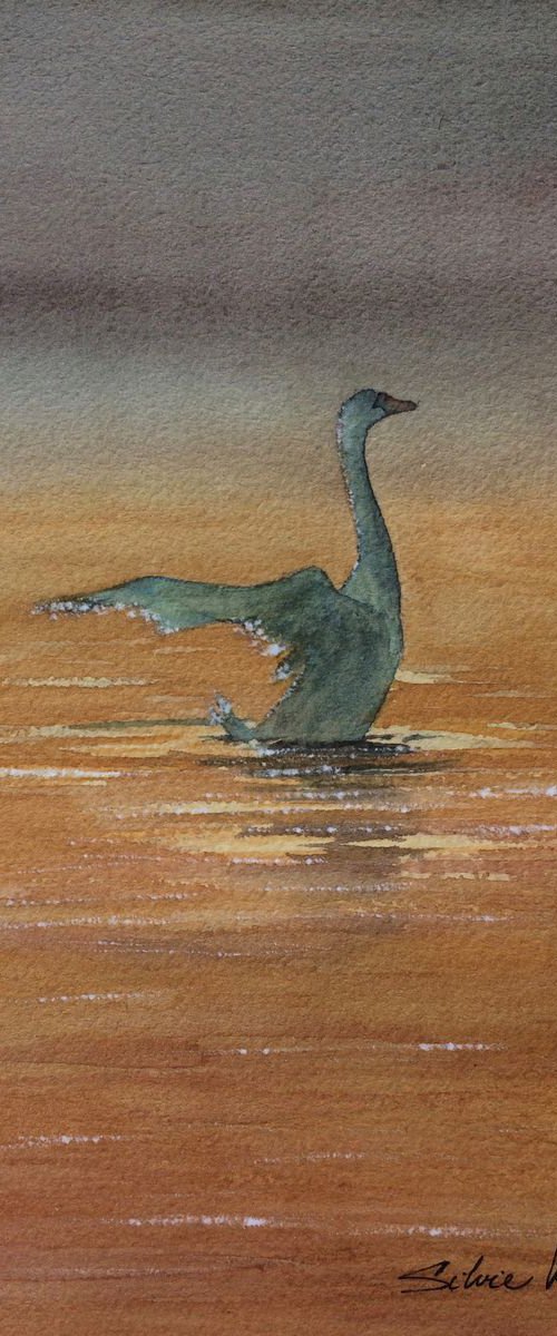 Evening stretch by Silvie Wright