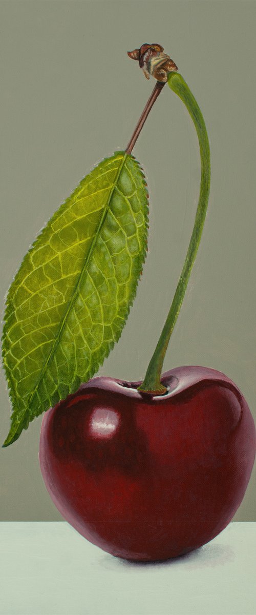 Proud Cherry by Dietrich Moravec