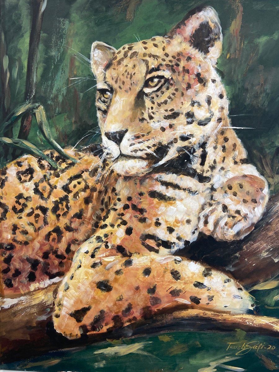 Jaguar by Tawab Safi