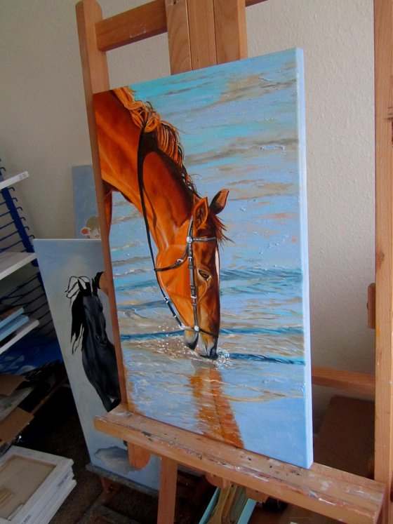 Horse at Sunset