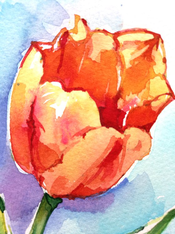 "Bright orange tulip" original watercolor painting