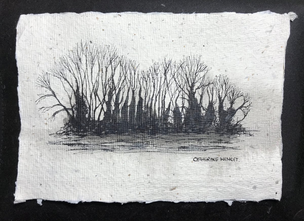 Winter Trees against the Sky in Pen and Ink - Traditional English Landscape -  Flitcham, N... by Catherine Winget