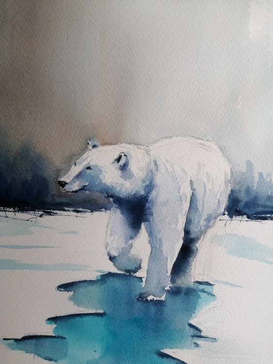 Polar bear