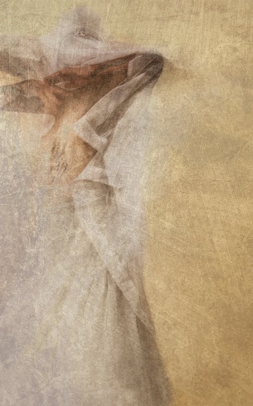 Salome IIX by Adam Regan