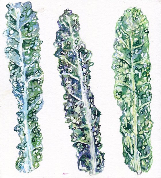 Cavolo Nero Study Original Watercolour Painting