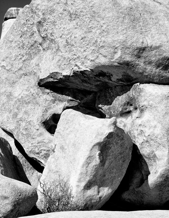 WITHIN THE ROCK Joshua Tree National Park