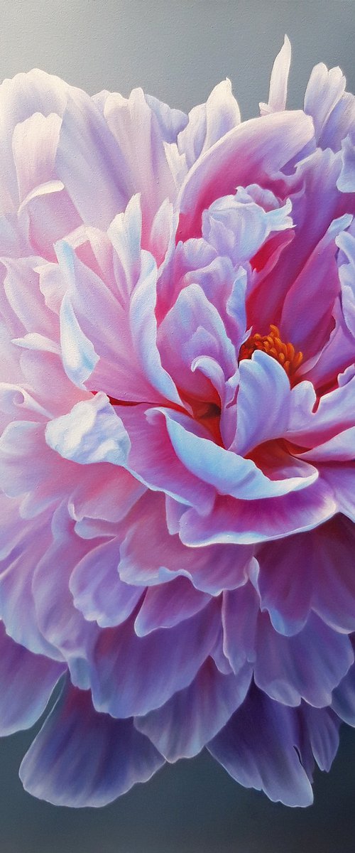 Mesmerizing peony by Anna Steshenko
