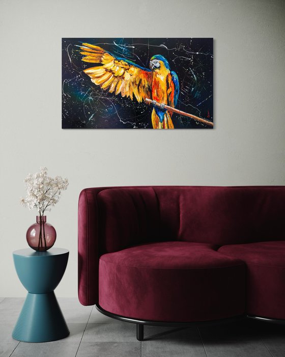 Freedom for parrots !
