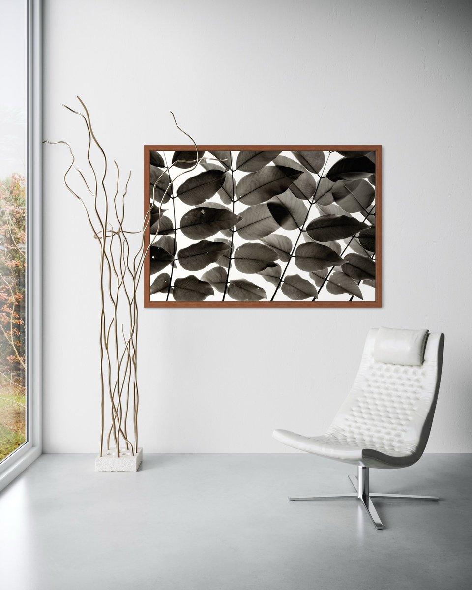 Botanical Photograph By Tal Paz-Fridman, 62 X 42", Branches And Leaves I, Original Artwork