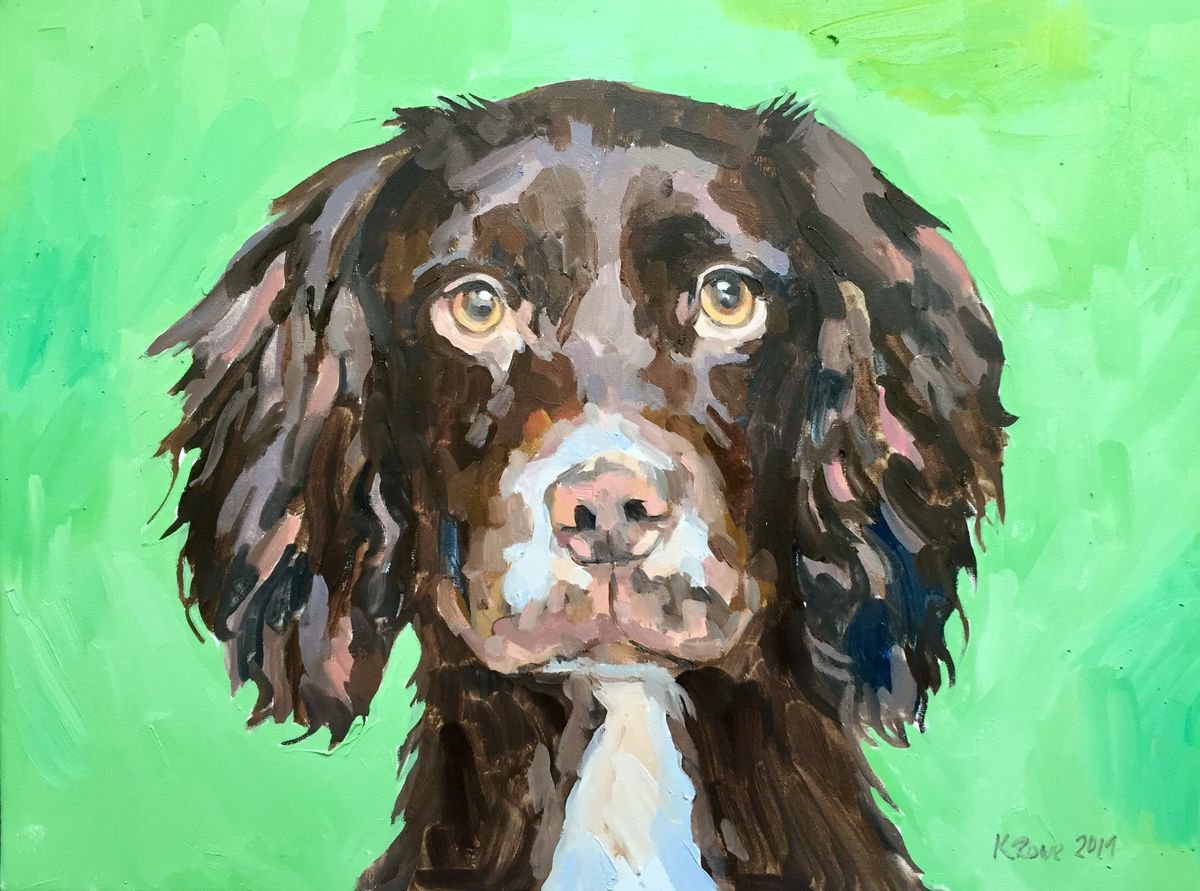 Olive the Spaniel by Katharine Rowe