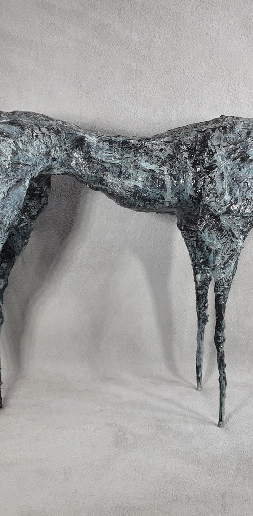 Solitude by Linda Hoyle