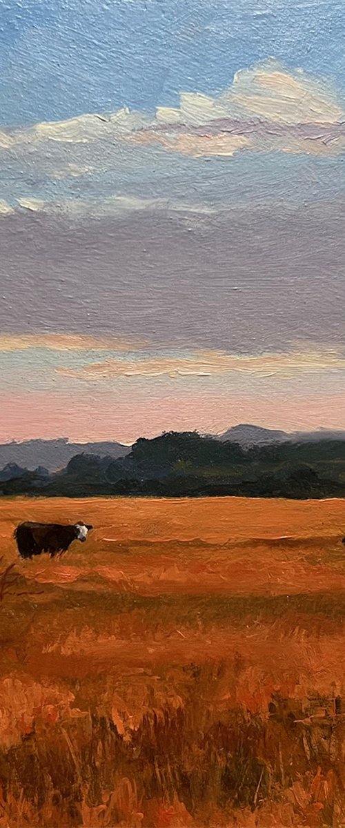 Golden Fields by Ryan Stalsby