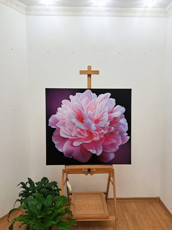 Pink peony vibes