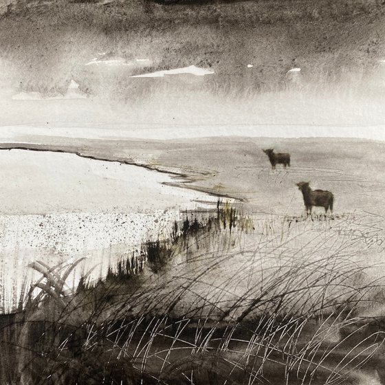 Monochrome Highland Cattle Marshes framed