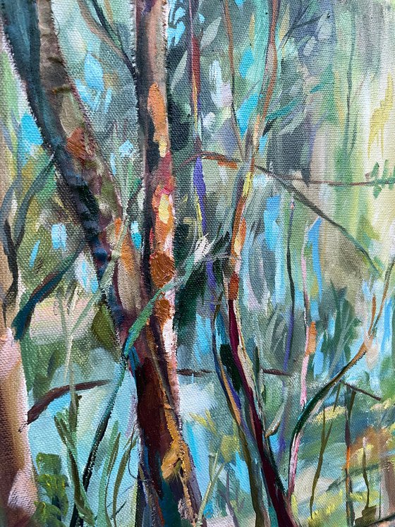 Illuminated by the Sun. Forest