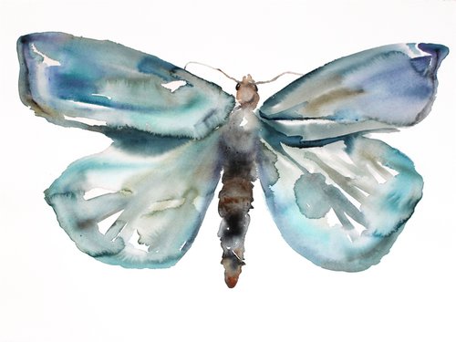 Moth Study No. 2 by Elizabeth Becker