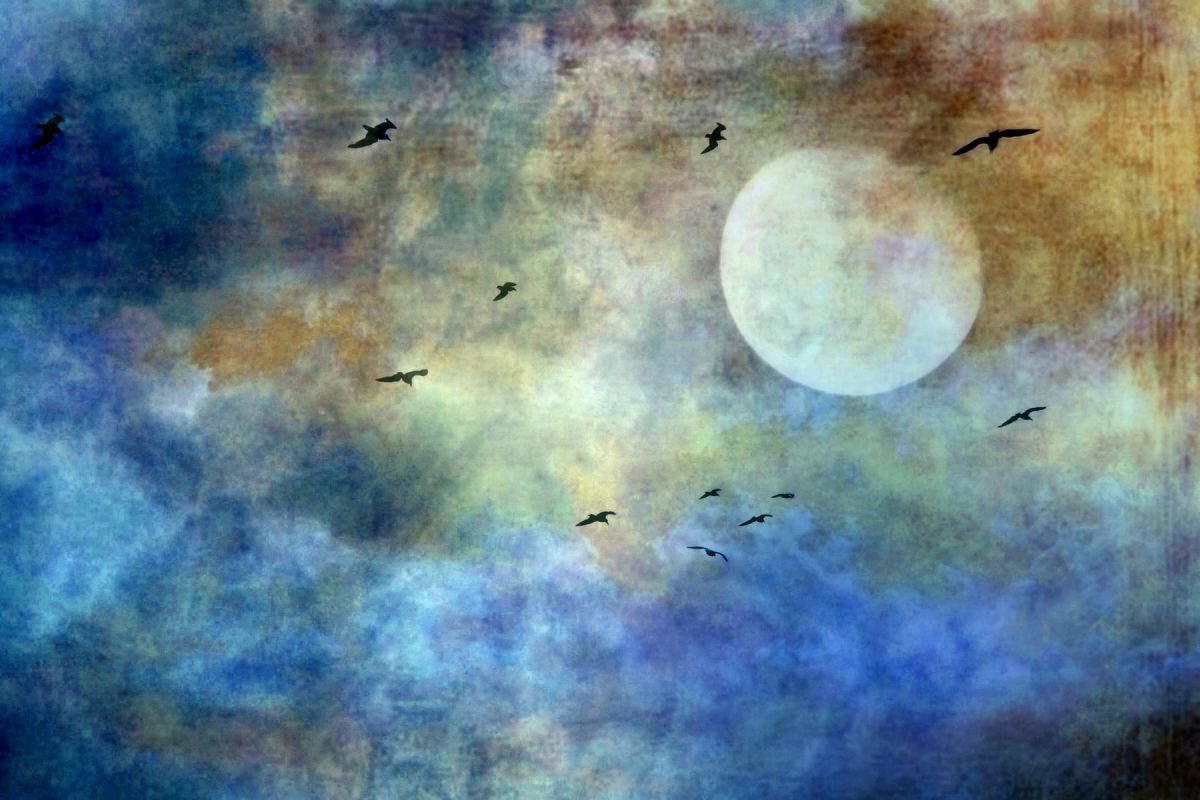 Fly me to the Moon by Sandra Roeken