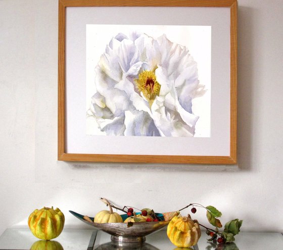 White peony watercolor floral