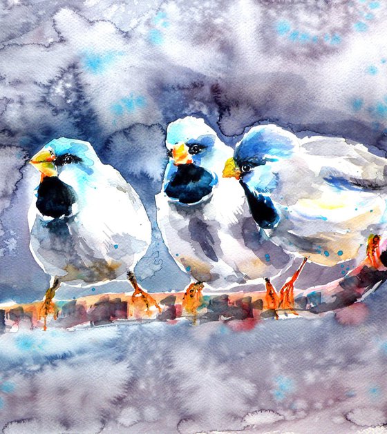 Talking birds -