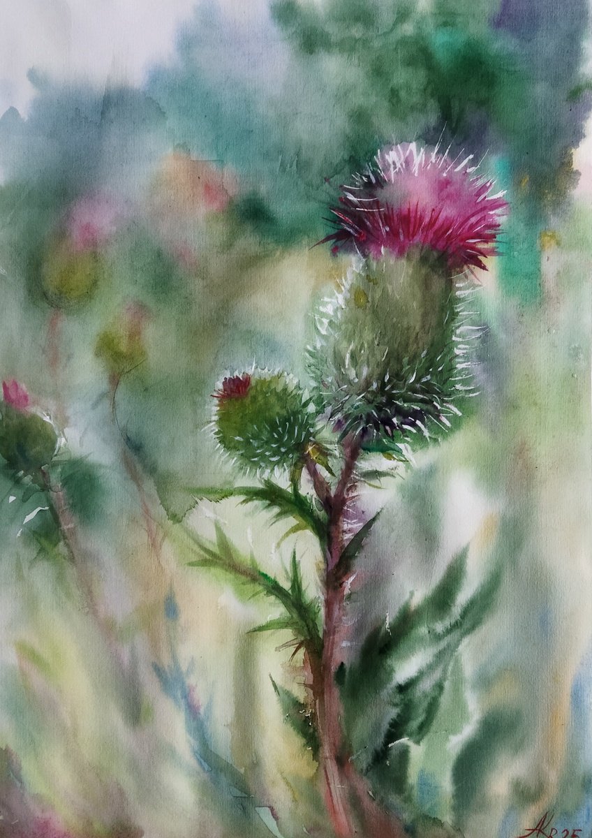 Impressionistic Botanical Watercolour By Ann Krasikova, 14 X 20, Scottish Thistle 2, Original Artwork