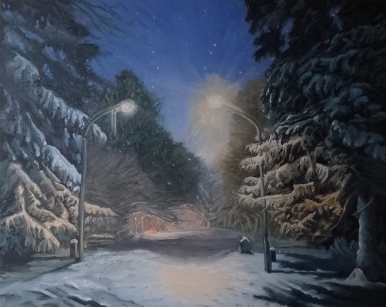 The Snowy Night