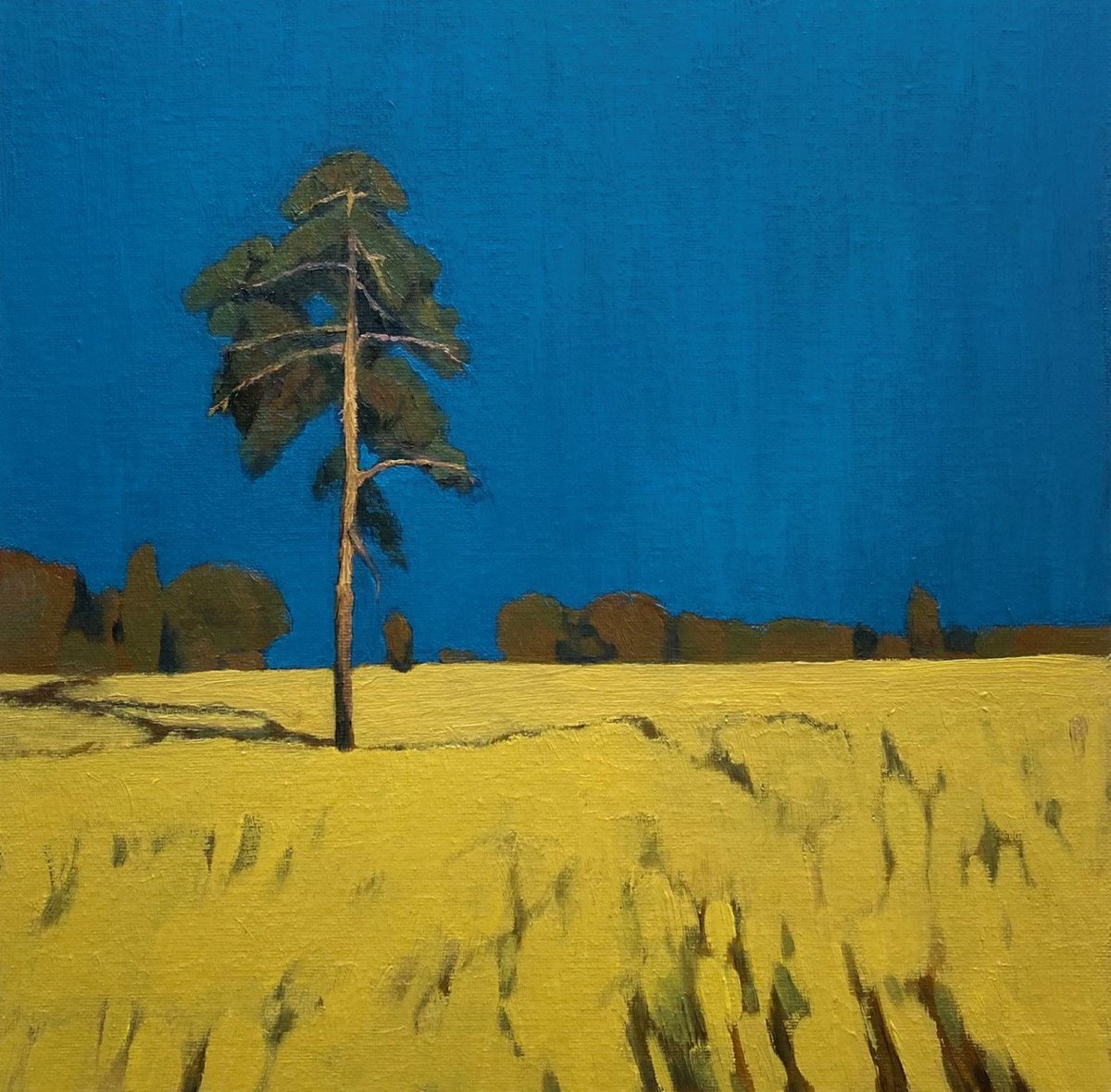 Impressionistic Landscape Oil Painting By Bohdan Vykhrenko, 12 X 12, Sunshine Before The Storm, Original Artwork