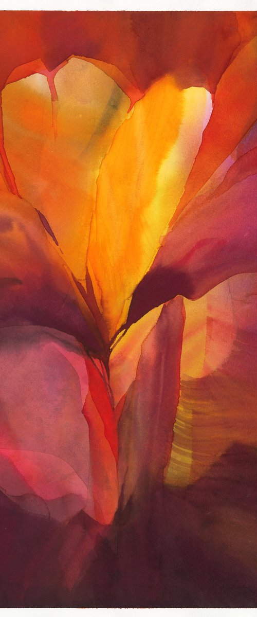 Freesia by Barbara Székely