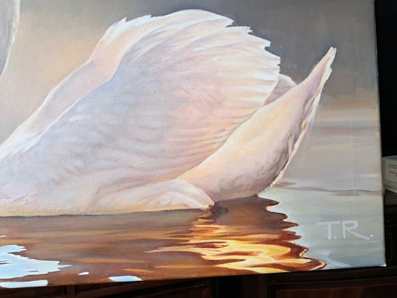 DAWN'S WHITE DUET