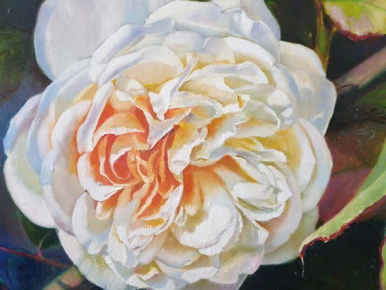 "Lanfren-Lanfra. "  rose flower  liGHt original painting  GIFT (2019)