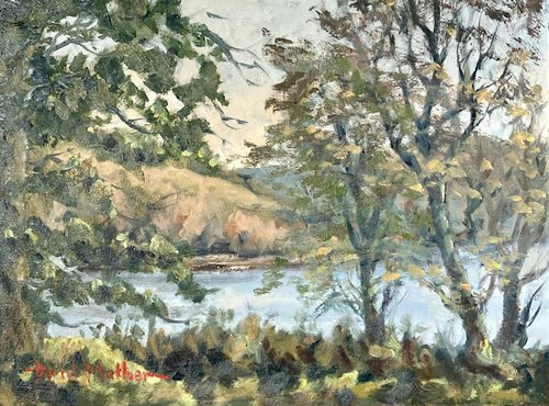 Burrator reservoir Dartmoor by David Mather