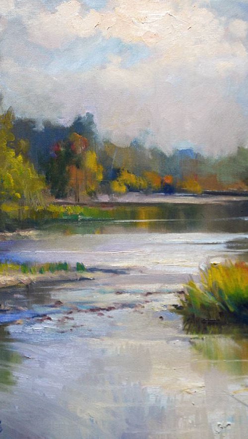 American River by Sergei Yatsenko