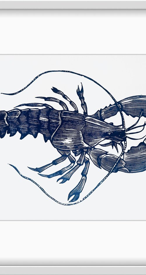 Blue Lobster by Amy Cundall