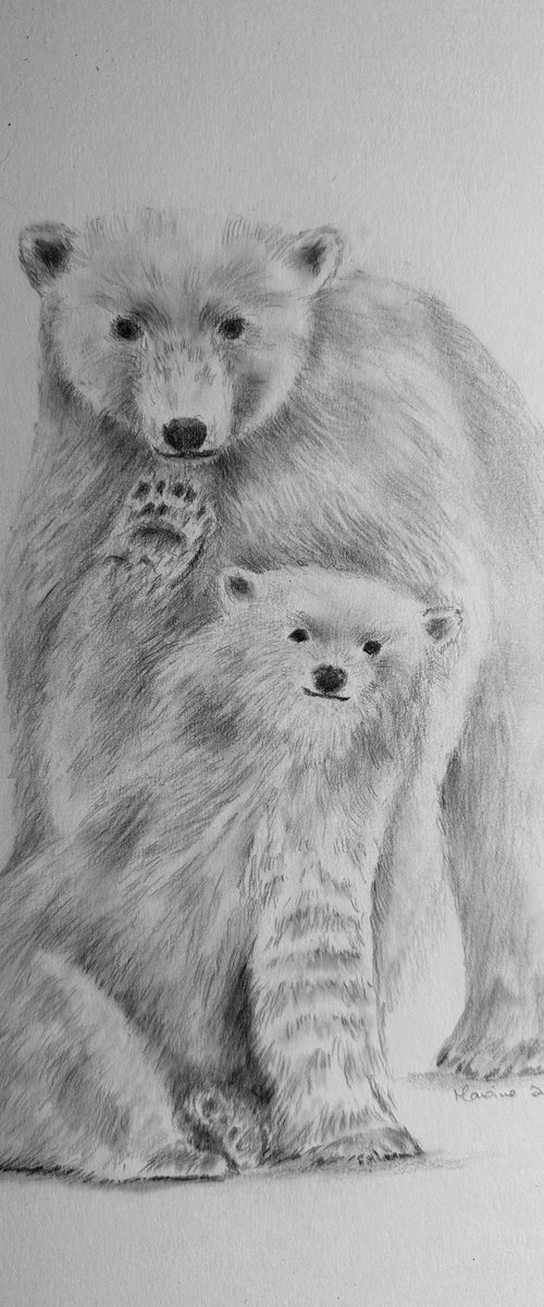 Polar bears by Maxine Taylor