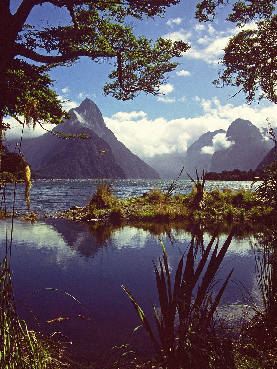 Photorealistic Landscape Photograph By Alex Cassels, 19 X 24, Milford Sound, Original Artwork