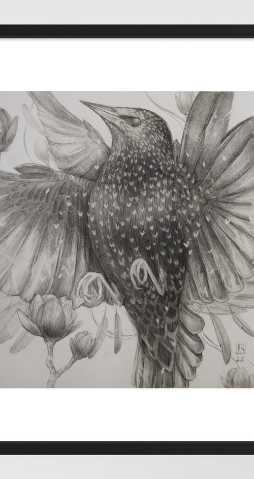 Starling by Polina Kharlamova
