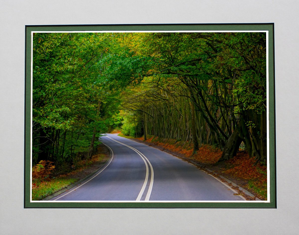 Tree Tunnel number 6 Ashdown Forest by Robin Clarke
