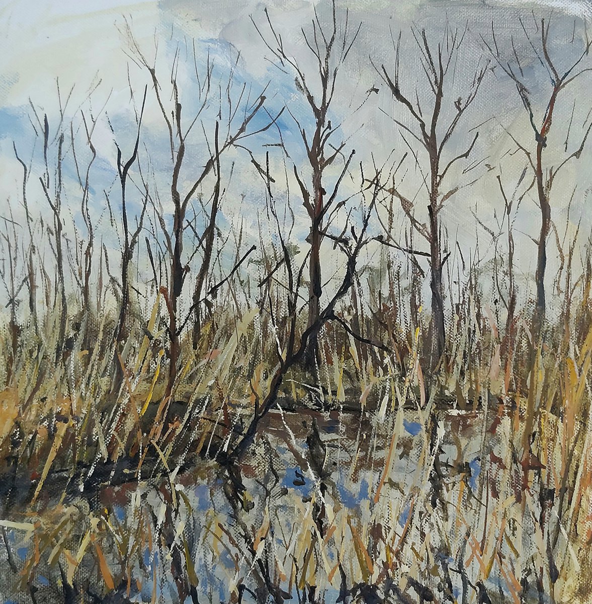 reeds and trees by Dimitris Voyiazoglou