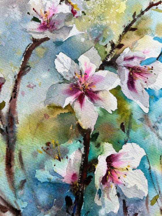 Almond flowers #6