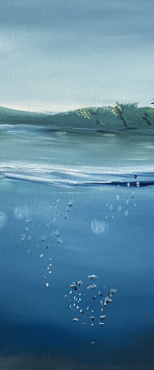 Country Lake - underwater view with trees and sky by Alanah Jarvis