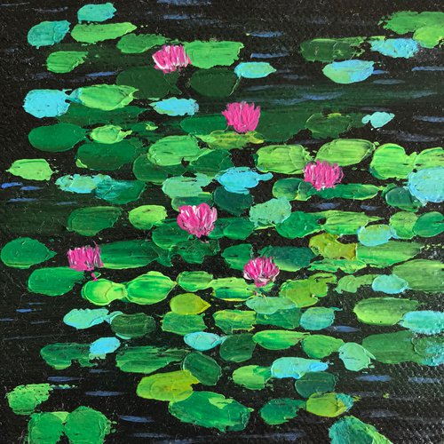 Miniature water lilies 7!! by Amita Dand