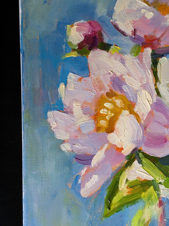 Peonies in Morning Light