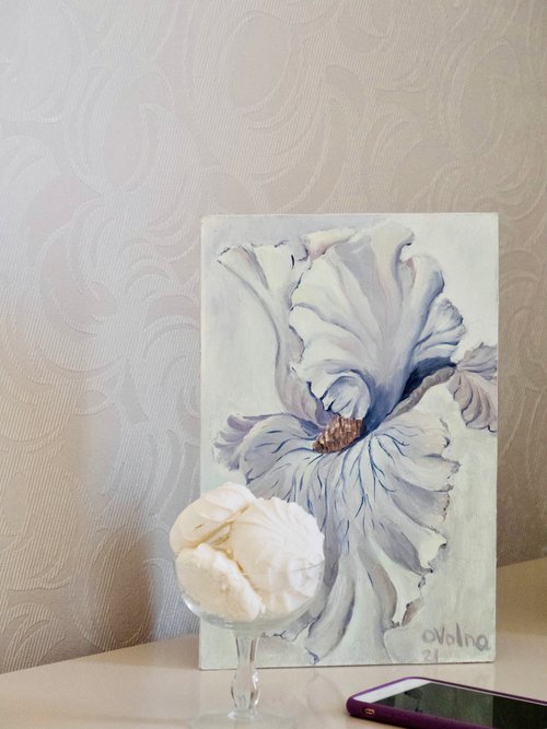 White Iris by Olga Volna