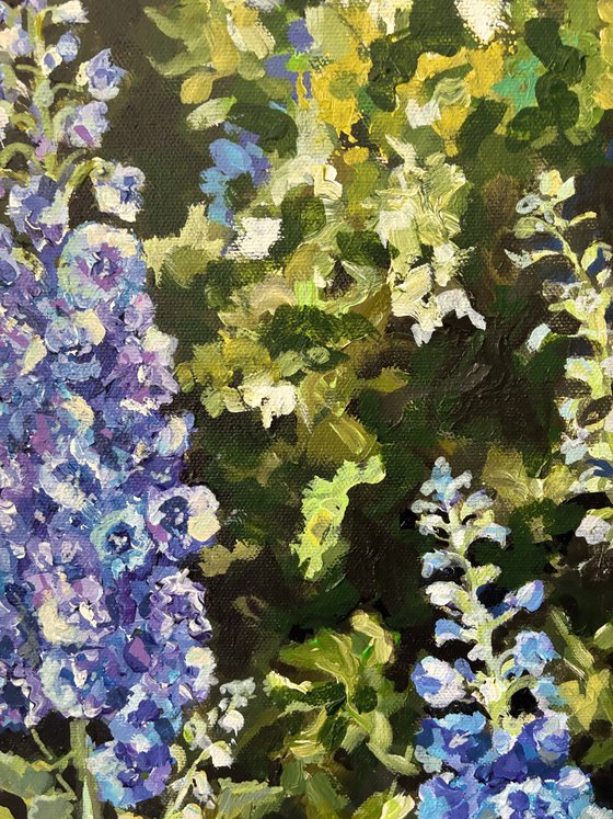 Delphiniums