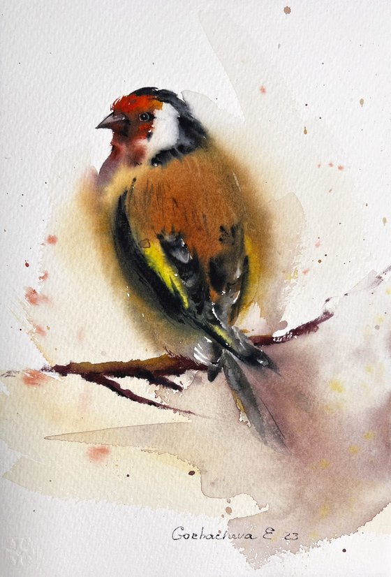 Goldfinch