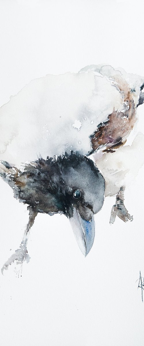 Hooded Crow by Andrzej Rabiega