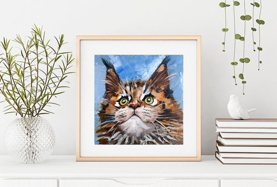 Tabby Cat Maine Coon