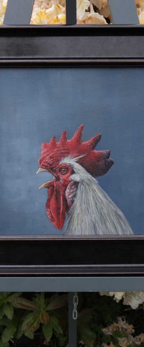 Cockerel in Full Call by Alex Jabore