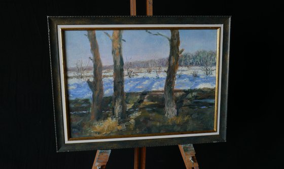 The Sunny Spring Day - spring landscape painting